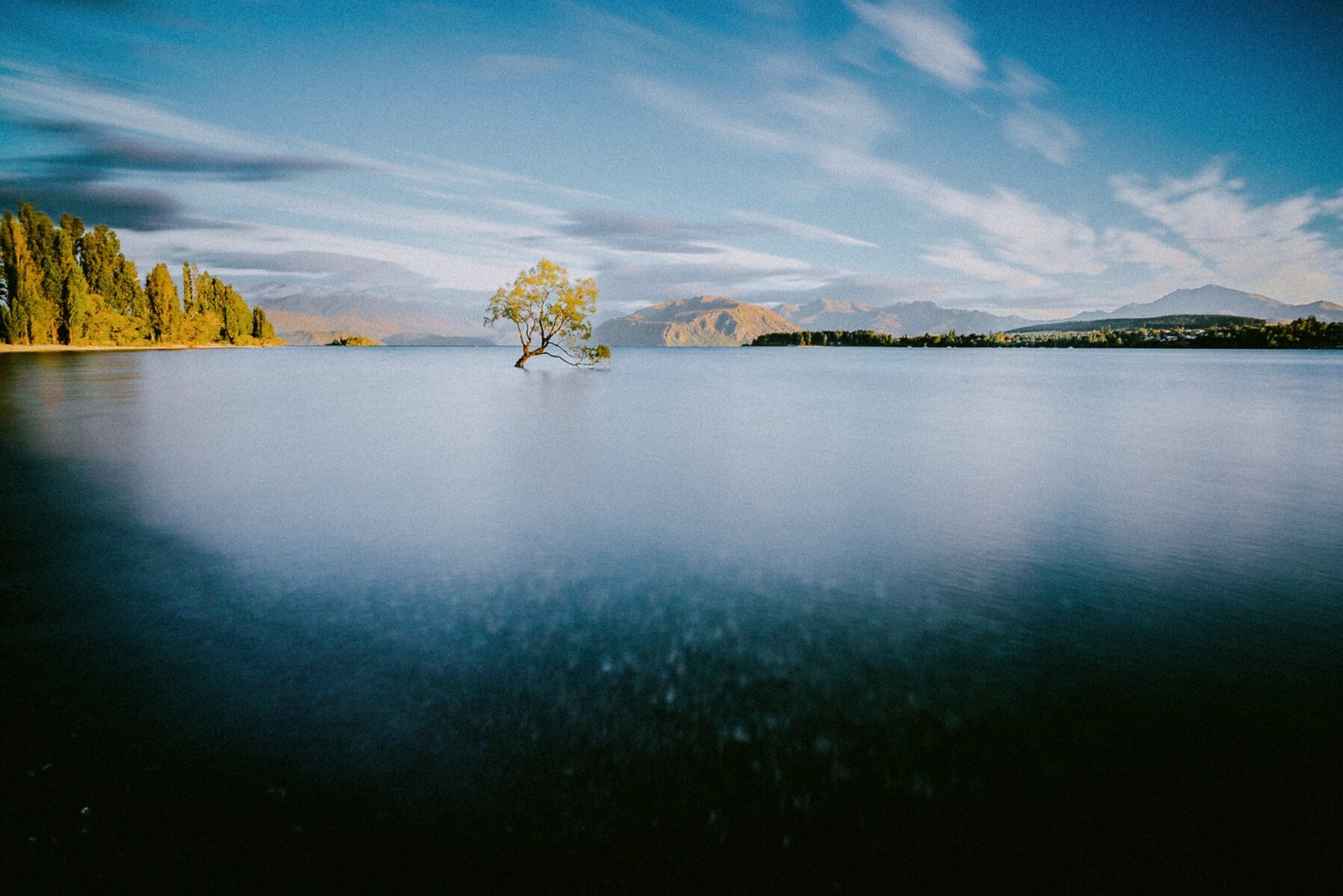 Wanaka Tree, Lake Wānaka, South Island, New Zealand — fine-art photograph by Ivo Dukić.